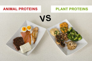 It is important to protein from various sources such as plant foods.